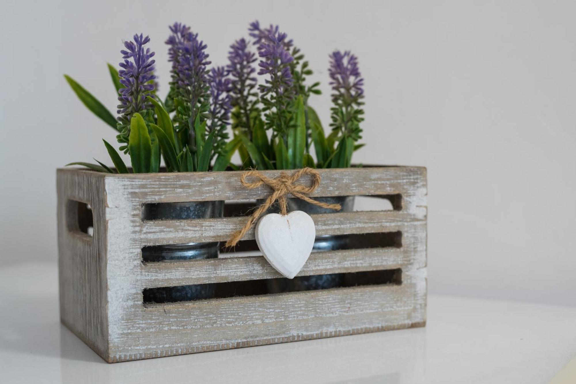 Travelershome Ciampino 170 Station Street Dış mekan fotoğraf